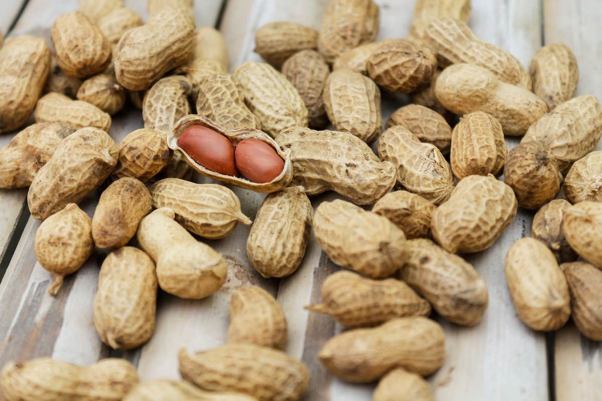 Closeup of peanuts on table