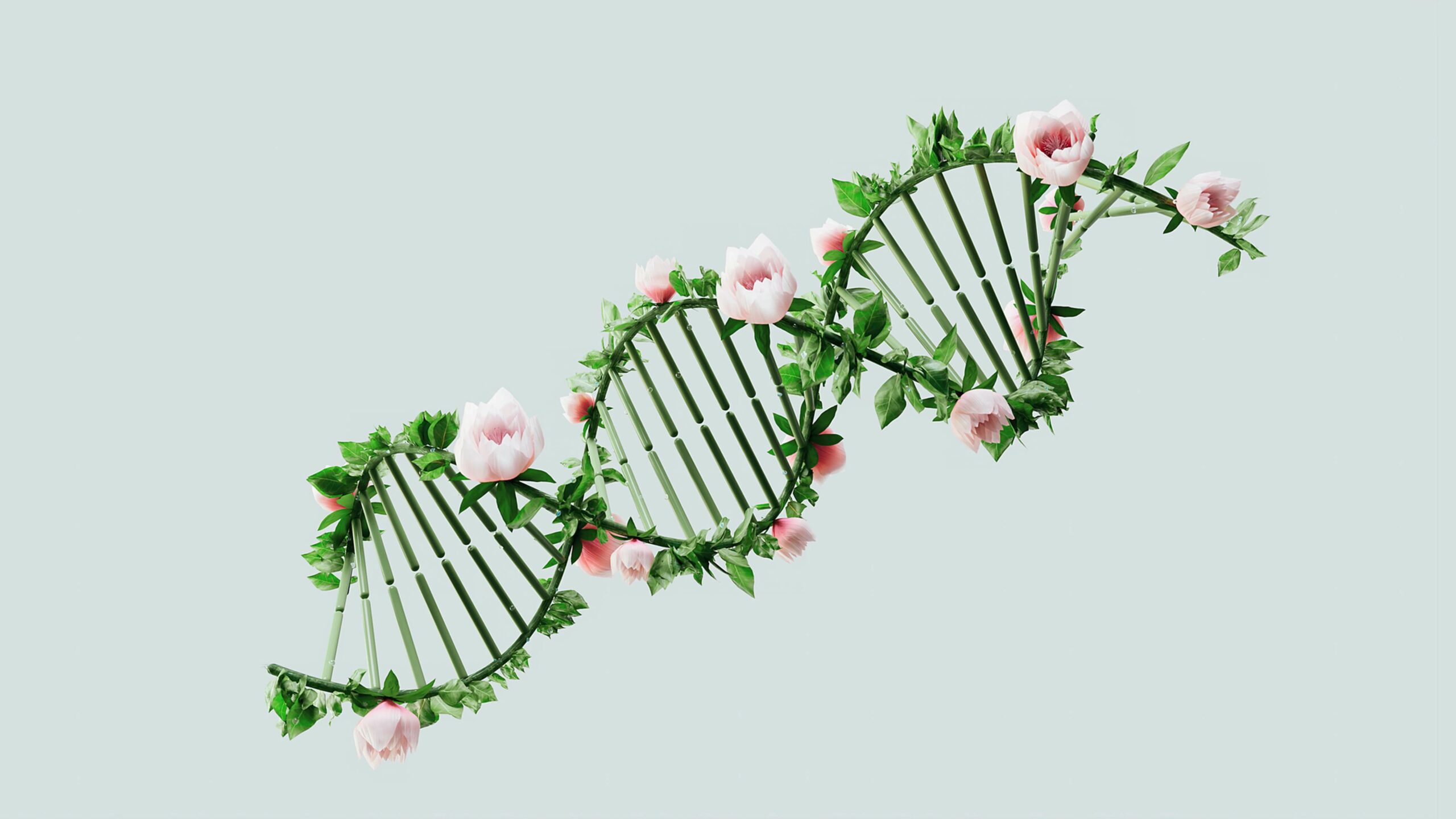 DNA strand made out of florals