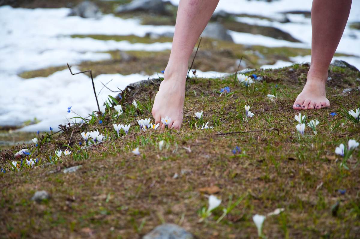 Woman's bare feet walking on the grass and snow